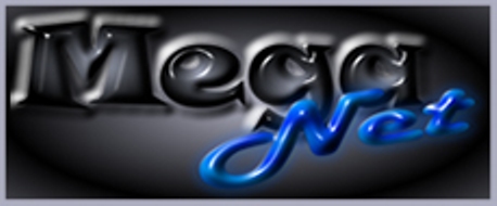 Bienvenido a Meganet
